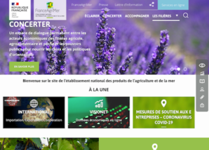 Maintenance évolutive et corrective du site FranceAgriMer
